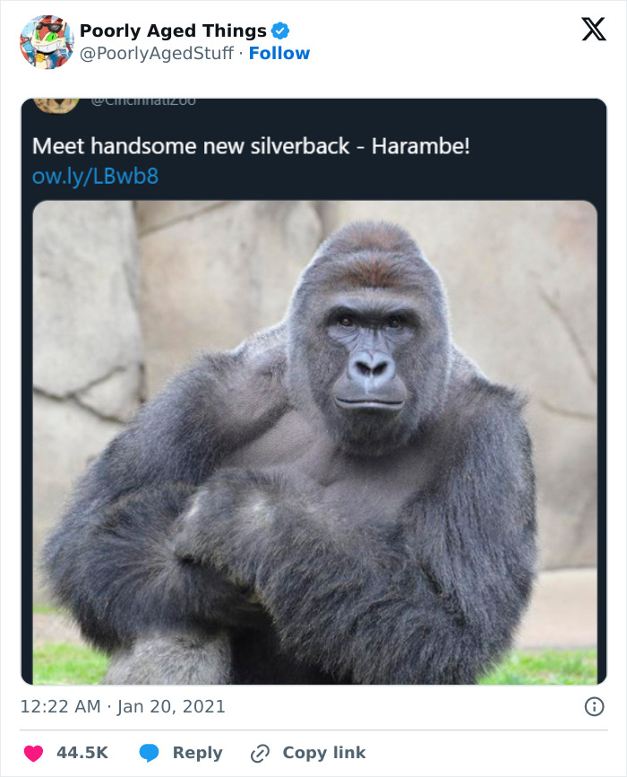 72 Things That Did Not Age Well At All (New Pics)