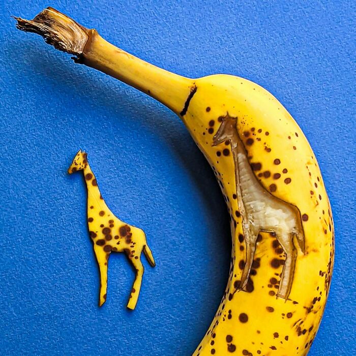 Everyday Objects Come To Life In These 39 Playful Illustrations By Romain Joly (New Pics) Everyday Objects Come To Life In These 39 Playful Illustrations By Romain Joly (New Pics)