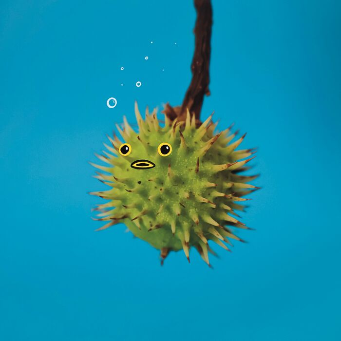 Everyday Objects Come To Life In These 39 Playful Illustrations By Romain Joly (New Pics) Everyday Objects Come To Life In These 39 Playful Illustrations By Romain Joly (New Pics)