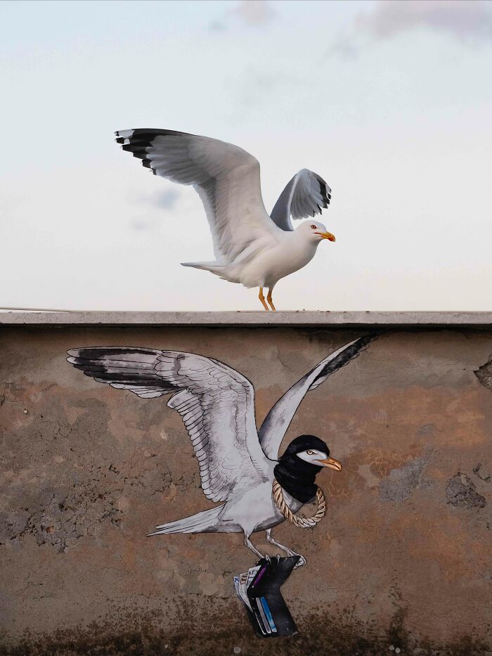 26 Stunning Photos From The 2026 Bird Photographer Of The Year Competition