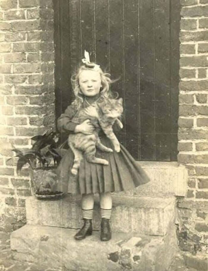 30 Charming Vintage Cat Photos That Show Felines Have Always Stolen Our Hearts, As Shared By This Page 30 Charming Vintage Cat Photos That Show Felines Have Always Stolen Our Hearts, As Shared By This Page