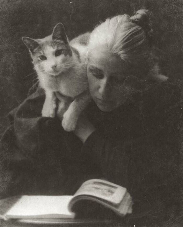 30 Charming Vintage Cat Photos That Show Felines Have Always Stolen Our Hearts, As Shared By This Page 30 Charming Vintage Cat Photos That Show Felines Have Always Stolen Our Hearts, As Shared By This Page
