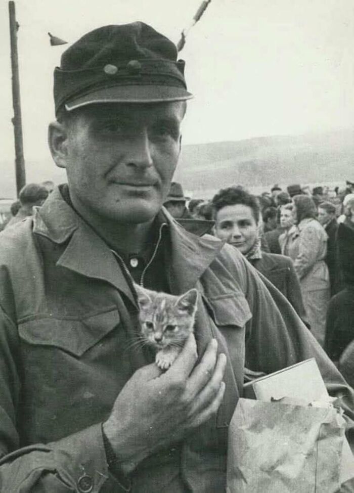 30 Charming Vintage Cat Photos That Show Felines Have Always Stolen Our Hearts, As Shared By This Page 30 Charming Vintage Cat Photos That Show Felines Have Always Stolen Our Hearts, As Shared By This Page