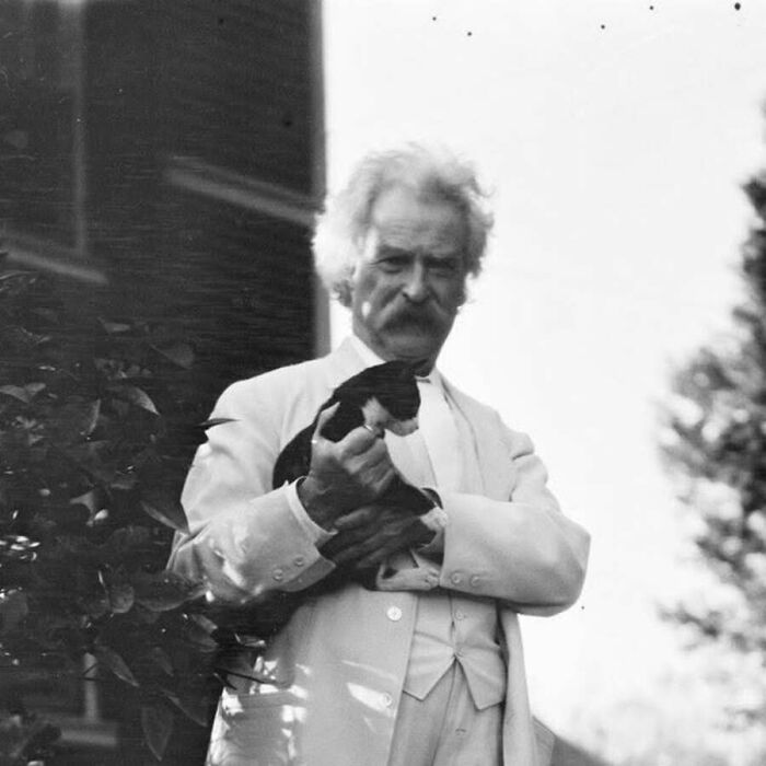 30 Charming Vintage Cat Photos That Show Felines Have Always Stolen Our Hearts, As Shared By This Page 30 Charming Vintage Cat Photos That Show Felines Have Always Stolen Our Hearts, As Shared By This Page