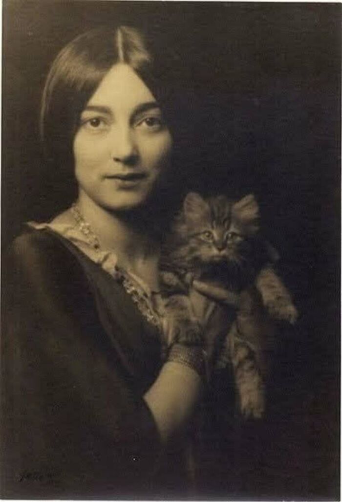 30 Charming Vintage Cat Photos That Show Felines Have Always Stolen Our Hearts, As Shared By This Page 30 Charming Vintage Cat Photos That Show Felines Have Always Stolen Our Hearts, As Shared By This Page