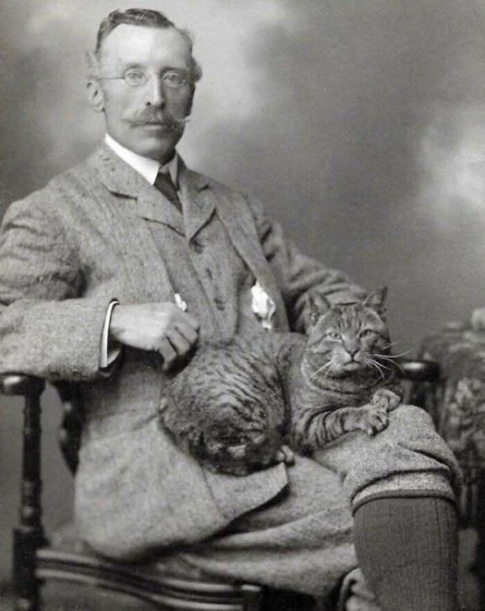 30 Charming Vintage Cat Photos That Show Felines Have Always Stolen Our Hearts, As Shared By This Page 30 Charming Vintage Cat Photos That Show Felines Have Always Stolen Our Hearts, As Shared By This Page