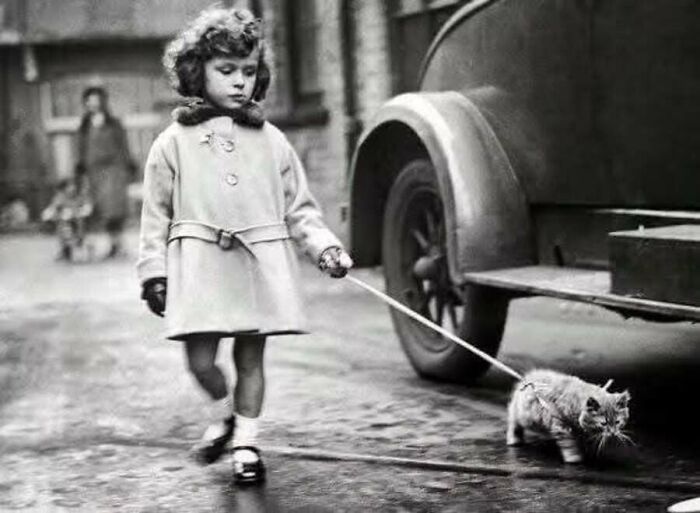 30 Charming Vintage Cat Photos That Show Felines Have Always Stolen Our Hearts, As Shared By This Page 30 Charming Vintage Cat Photos That Show Felines Have Always Stolen Our Hearts, As Shared By This Page