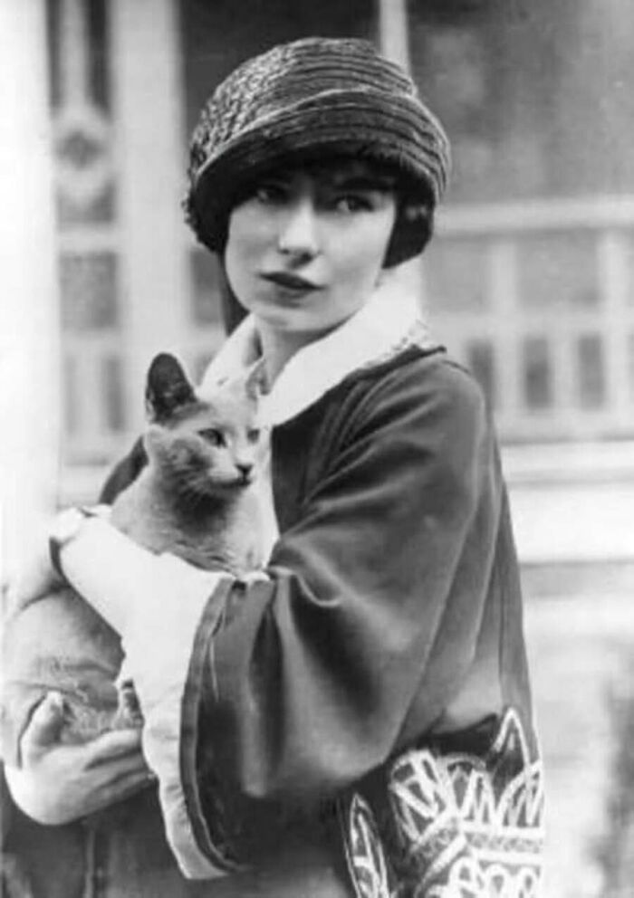 30 Charming Vintage Cat Photos That Show Felines Have Always Stolen Our Hearts, As Shared By This Page 30 Charming Vintage Cat Photos That Show Felines Have Always Stolen Our Hearts, As Shared By This Page