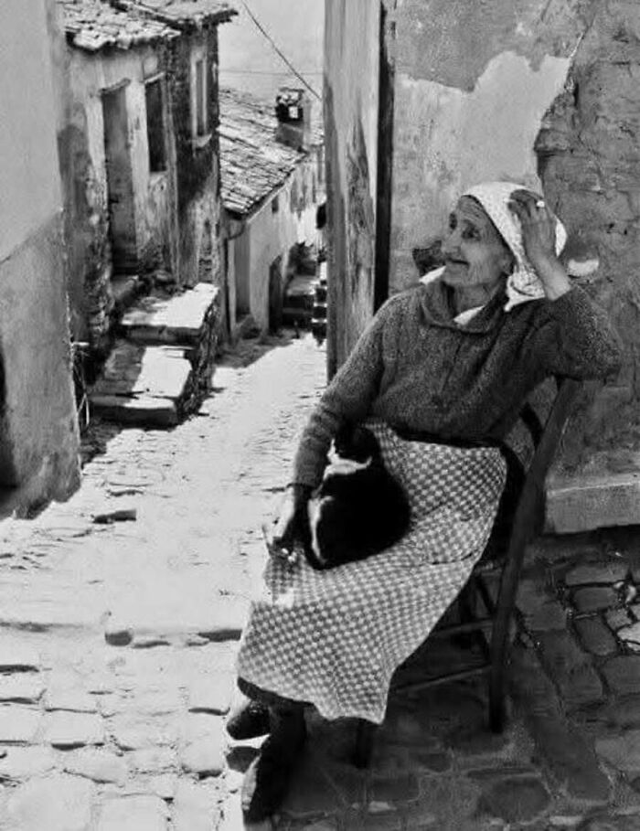 30 Charming Vintage Cat Photos That Show Felines Have Always Stolen Our Hearts, As Shared By This Page 30 Charming Vintage Cat Photos That Show Felines Have Always Stolen Our Hearts, As Shared By This Page