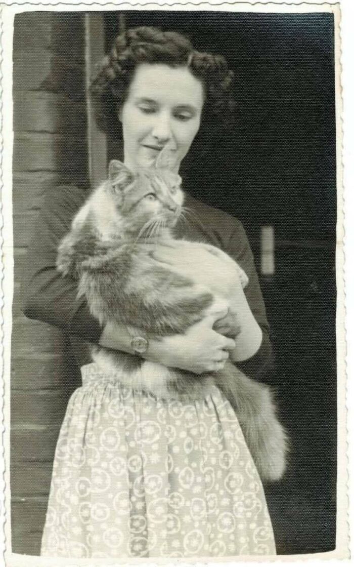 30 Charming Vintage Cat Photos That Show Felines Have Always Stolen Our Hearts, As Shared By This Page 30 Charming Vintage Cat Photos That Show Felines Have Always Stolen Our Hearts, As Shared By This Page