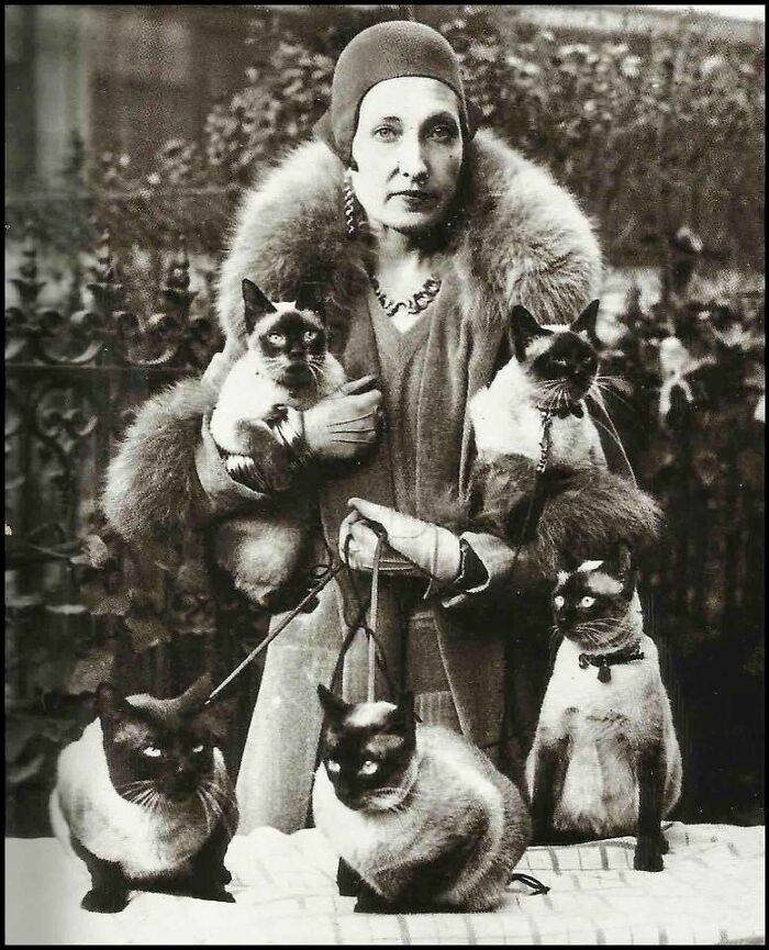 30 Charming Vintage Cat Photos That Show Felines Have Always Stolen Our Hearts, As Shared By This Page 30 Charming Vintage Cat Photos That Show Felines Have Always Stolen Our Hearts, As Shared By This Page