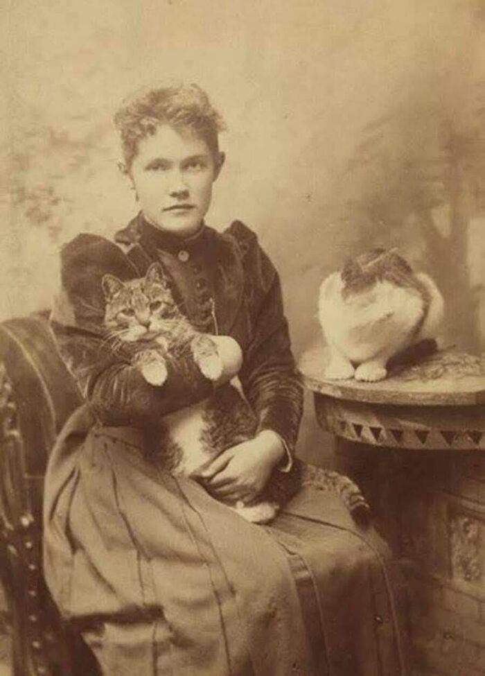 30 Charming Vintage Cat Photos That Show Felines Have Always Stolen Our Hearts, As Shared By This Page 30 Charming Vintage Cat Photos That Show Felines Have Always Stolen Our Hearts, As Shared By This Page