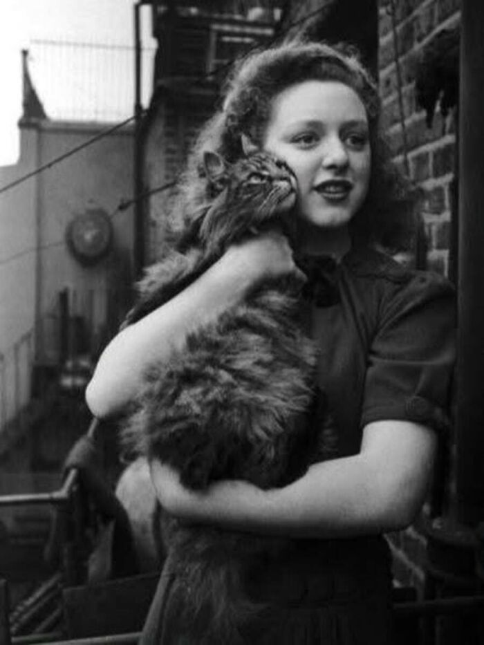 30 Charming Vintage Cat Photos That Show Felines Have Always Stolen Our Hearts, As Shared By This Page 30 Charming Vintage Cat Photos That Show Felines Have Always Stolen Our Hearts, As Shared By This Page