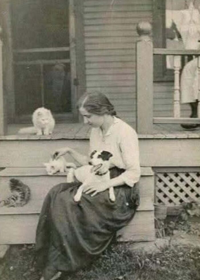 30 Charming Vintage Cat Photos That Show Felines Have Always Stolen Our Hearts, As Shared By This Page 30 Charming Vintage Cat Photos That Show Felines Have Always Stolen Our Hearts, As Shared By This Page