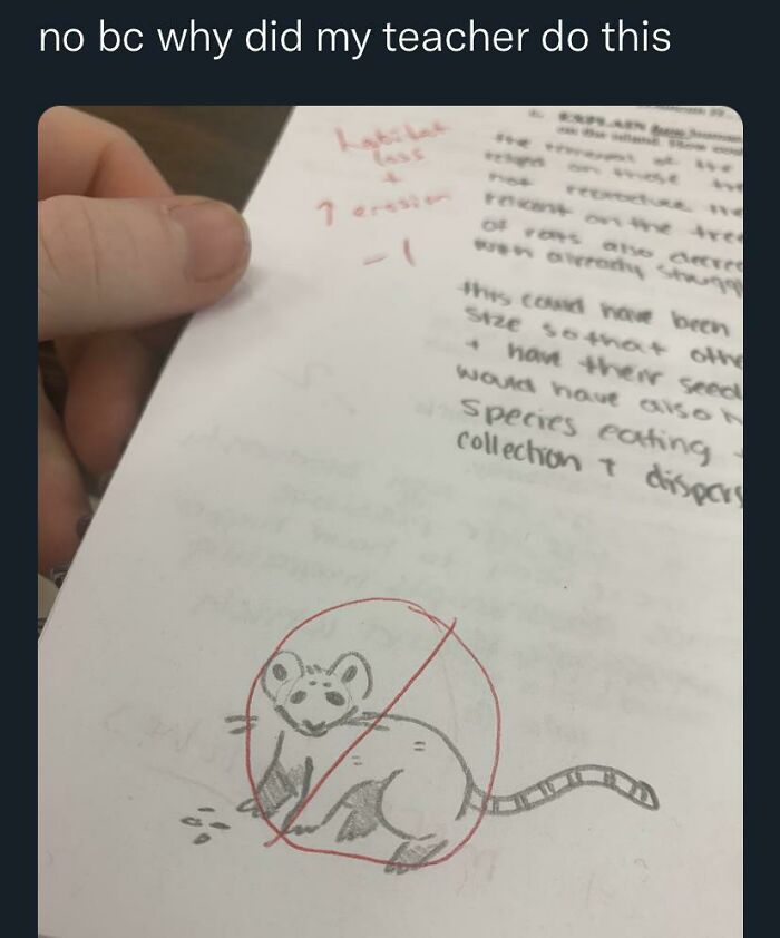 39 Teachers Who Took Their Jobs Way Too Seriously Or Not Seriously Enough 39 Teachers Who Took Their Jobs Way Too Seriously Or Not Seriously Enough