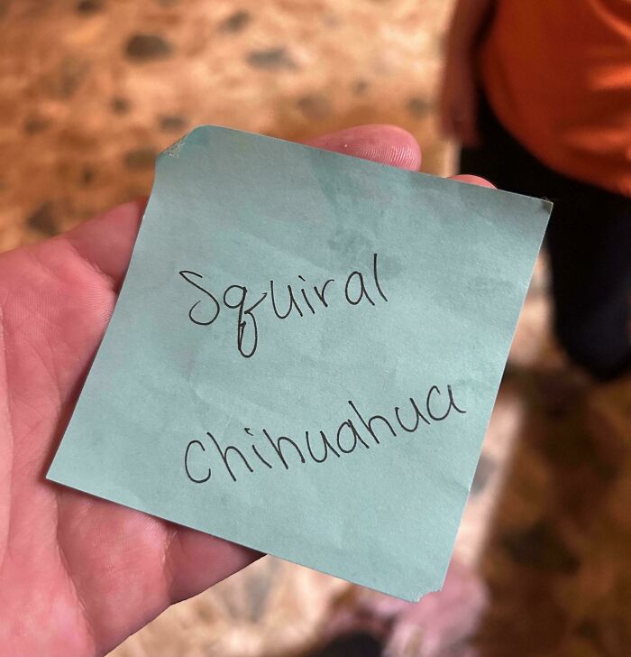 39 Teachers Who Took Their Jobs Way Too Seriously Or Not Seriously Enough 39 Teachers Who Took Their Jobs Way Too Seriously Or Not Seriously Enough
