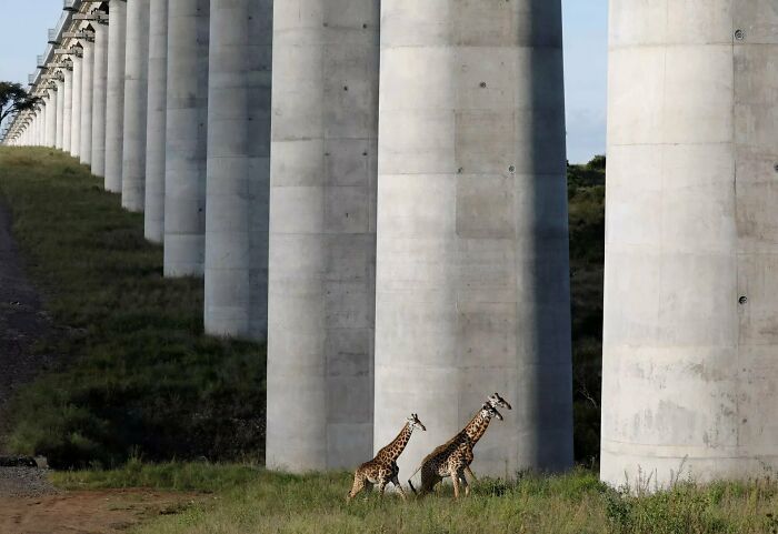 62 Fantastic Examples Of Some Of The World’s Best Infrastructure (New Pics) 62 Fantastic Examples Of Some Of The World’s Best Infrastructure (New Pics)