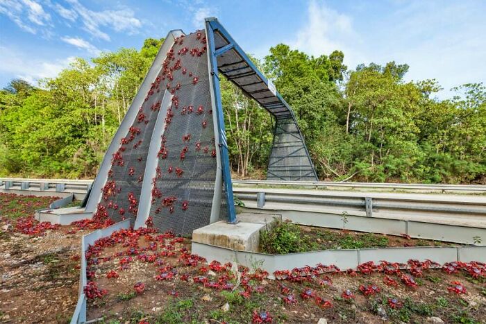 62 Fantastic Examples Of Some Of The World’s Best Infrastructure (New Pics) 62 Fantastic Examples Of Some Of The World’s Best Infrastructure (New Pics)