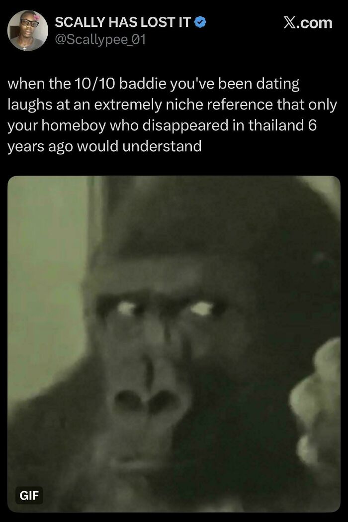 80 Internet Comments So Specific They Might Make You Wonder What Really Happened 80 Internet Comments So Specific They Might Make You Wonder What Really Happened