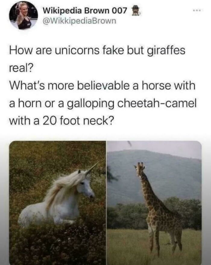 80 Internet Comments So Specific They Might Make You Wonder What Really Happened 80 Internet Comments So Specific They Might Make You Wonder What Really Happened