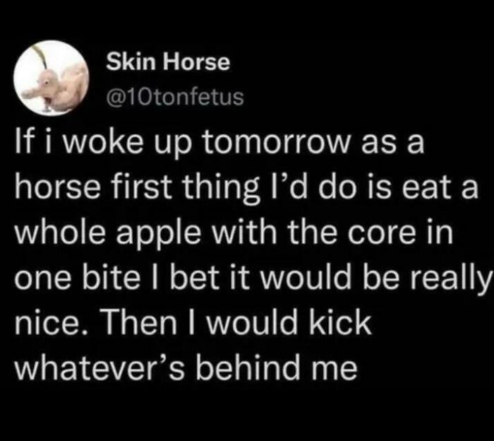 80 Internet Comments So Specific They Might Make You Wonder What Really Happened 80 Internet Comments So Specific They Might Make You Wonder What Really Happened