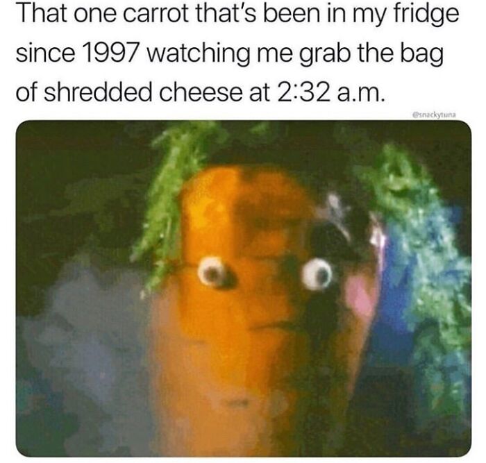 80 Internet Comments So Specific They Might Make You Wonder What Really Happened 80 Internet Comments So Specific They Might Make You Wonder What Really Happened