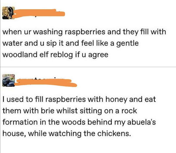80 Internet Comments So Specific They Might Make You Wonder What Really Happened 80 Internet Comments So Specific They Might Make You Wonder What Really Happened