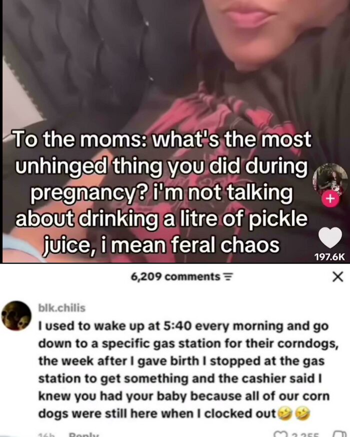 80 Internet Comments So Specific They Might Make You Wonder What Really Happened 80 Internet Comments So Specific They Might Make You Wonder What Really Happened