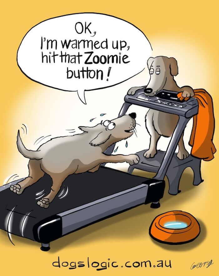 ‘Dog Logic’: Artist Imagines The World From A Dog’s Point Of View In 20 Hilarious Comics ‘Dog Logic’: Artist Imagines The World From A Dog’s Point Of View In 20 Hilarious Comics