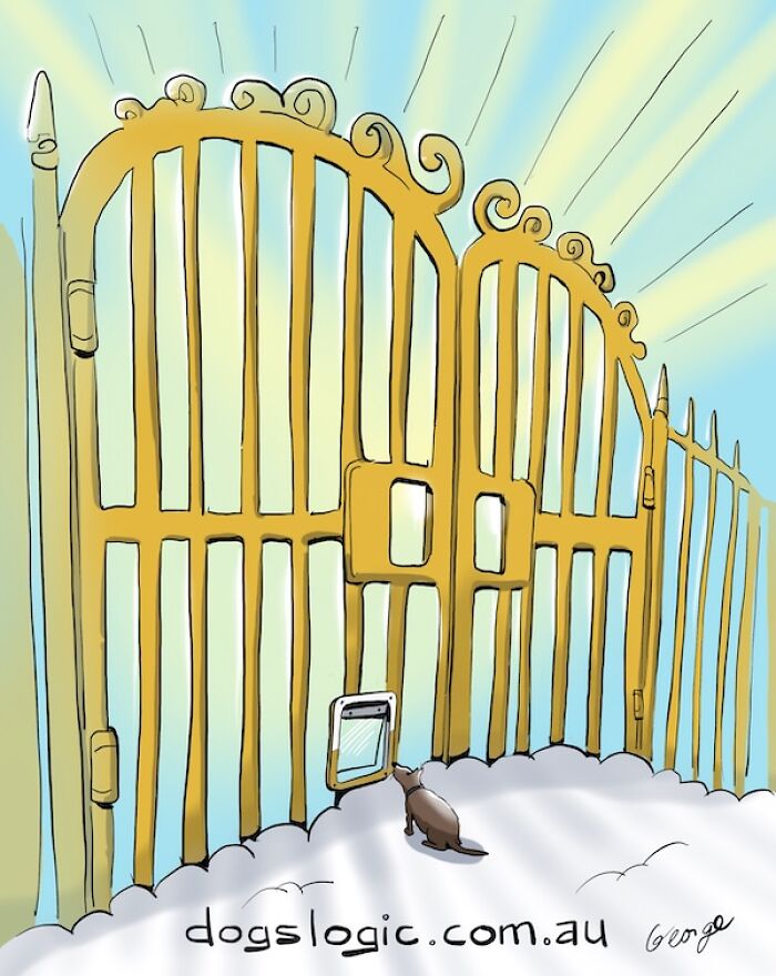 ‘Dog Logic’: Artist Imagines The World From A Dog’s Point Of View In 20 Hilarious Comics ‘Dog Logic’: Artist Imagines The World From A Dog’s Point Of View In 20 Hilarious Comics