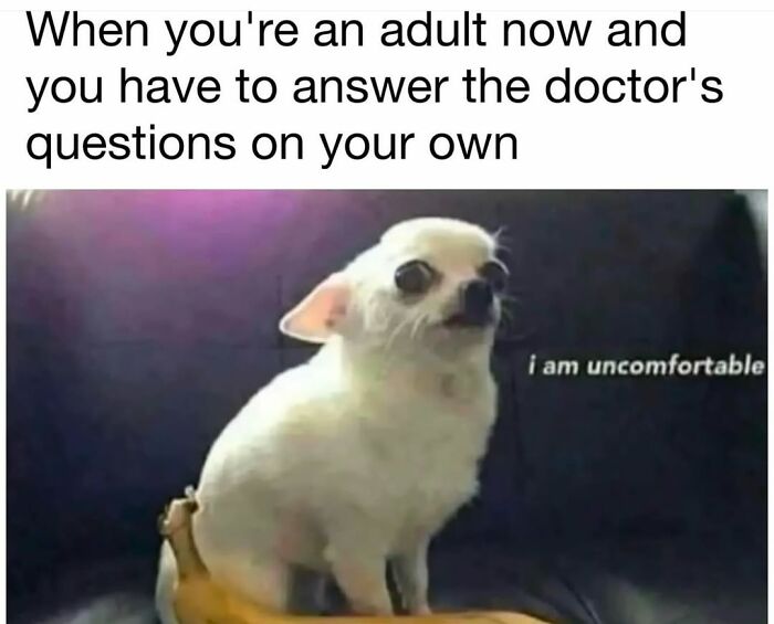 62 Funny And Relatable Dog Memes Shared By The “Jolly Doggies” Instagram Page 62 Funny And Relatable Dog Memes Shared By The “Jolly Doggies” Instagram Page