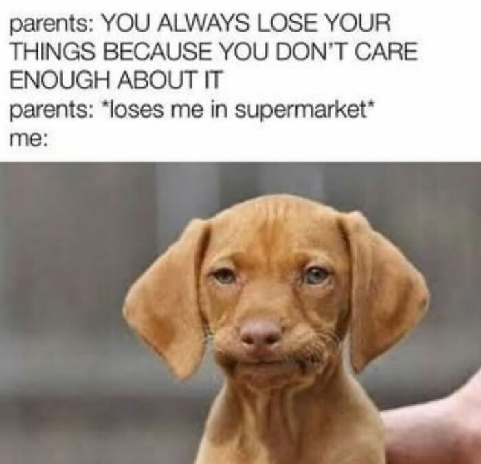 62 Funny And Relatable Dog Memes Shared By The “Jolly Doggies” Instagram Page 62 Funny And Relatable Dog Memes Shared By The “Jolly Doggies” Instagram Page