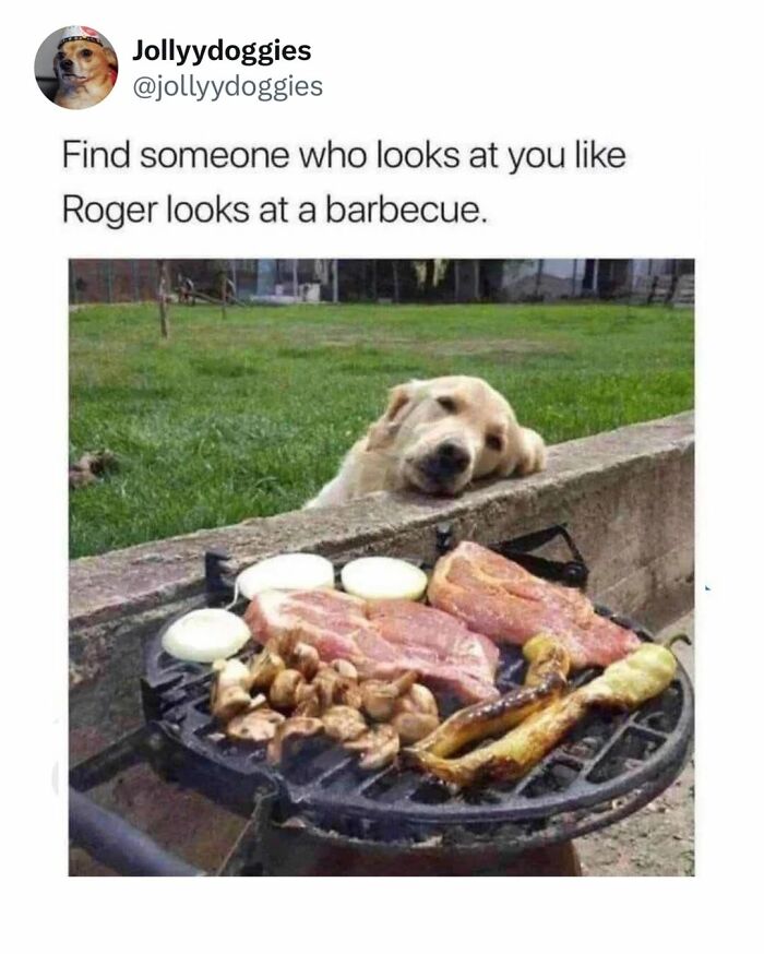 62 Funny And Relatable Dog Memes Shared By The “Jolly Doggies” Instagram Page 62 Funny And Relatable Dog Memes Shared By The “Jolly Doggies” Instagram Page