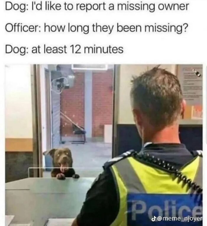 62 Funny And Relatable Dog Memes Shared By The “Jolly Doggies” Instagram Page 62 Funny And Relatable Dog Memes Shared By The “Jolly Doggies” Instagram Page