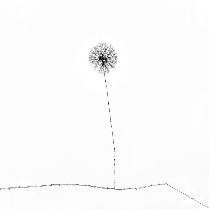 50 Landscape Photos That Bring New Perspectives To The Natural World At The MonoVisions Awards 2026 50 Landscape Photos That Bring New Perspectives To The Natural World At The MonoVisions Awards 2026