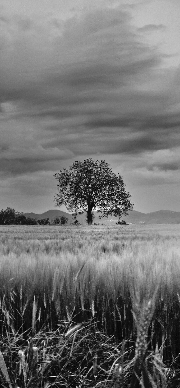 50 Landscape Photos That Bring New Perspectives To The Natural World At The MonoVisions Awards 2026 50 Landscape Photos That Bring New Perspectives To The Natural World At The MonoVisions Awards 2026
