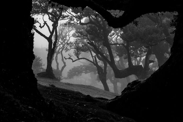50 Landscape Photos That Bring New Perspectives To The Natural World At The MonoVisions Awards 2026 50 Landscape Photos That Bring New Perspectives To The Natural World At The MonoVisions Awards 2026