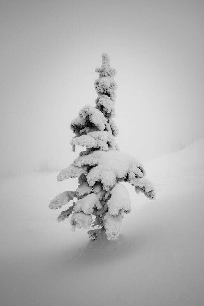 50 Landscape Photos That Bring New Perspectives To The Natural World At The MonoVisions Awards 2026 50 Landscape Photos That Bring New Perspectives To The Natural World At The MonoVisions Awards 2026