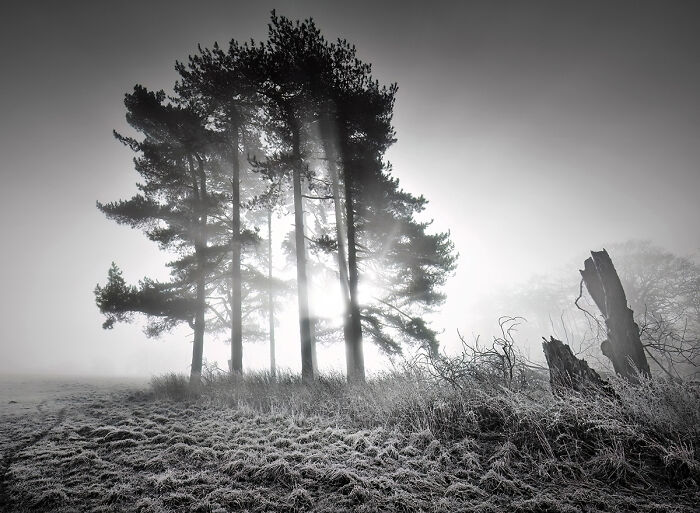 50 Landscape Photos That Bring New Perspectives To The Natural World At The MonoVisions Awards 2026 50 Landscape Photos That Bring New Perspectives To The Natural World At The MonoVisions Awards 2026