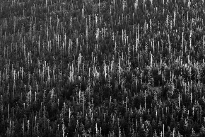 50 Landscape Photos That Bring New Perspectives To The Natural World At The MonoVisions Awards 2026 50 Landscape Photos That Bring New Perspectives To The Natural World At The MonoVisions Awards 2026