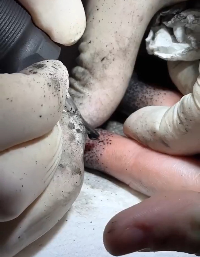 Viral Fingertip Tattoo Trend Hit With Chilling Warnings From Doctors Over The Risks Involved