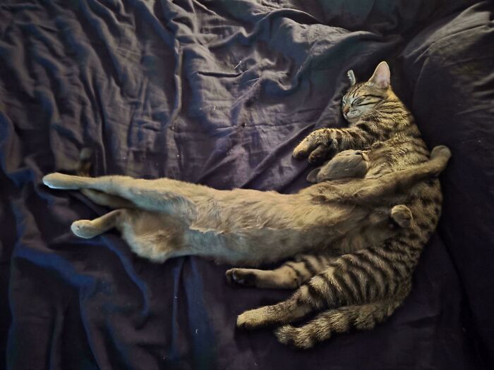 &ldquo;Accidental Renaissance&rdquo;: 102 Photos That Look Like They Should Belong In A Museum (New Pics)