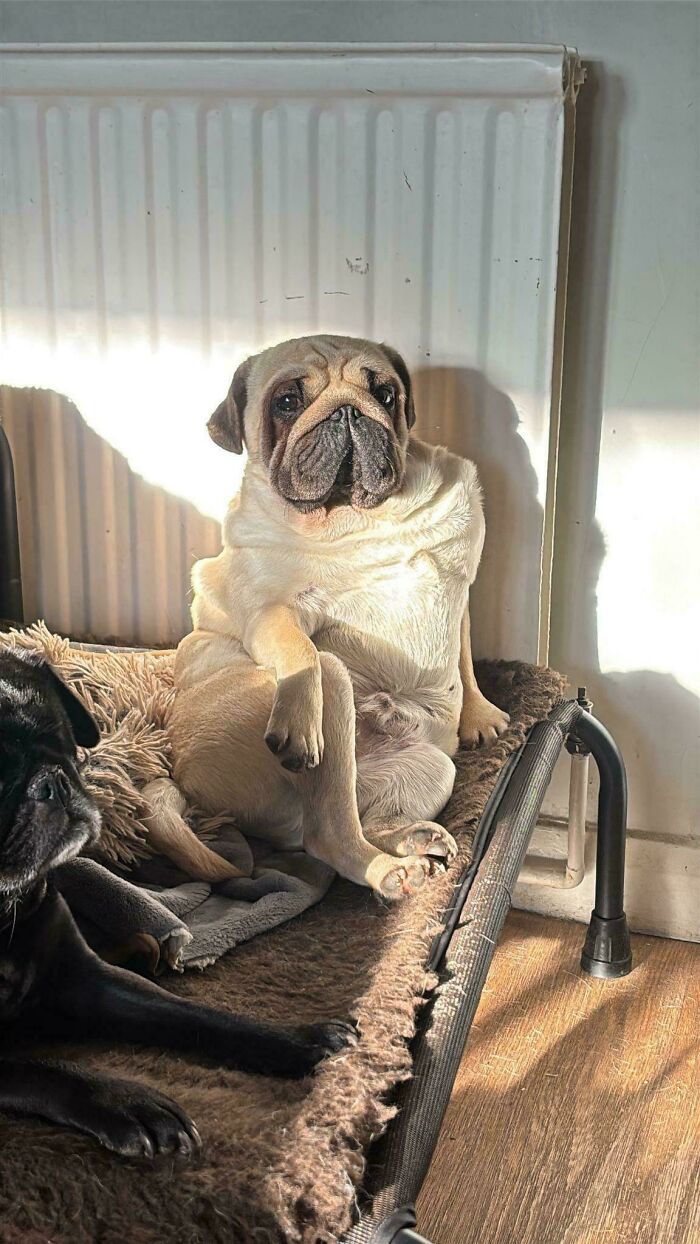 &ldquo;Accidental Renaissance&rdquo;: 102 Photos That Look Like They Should Belong In A Museum (New Pics)