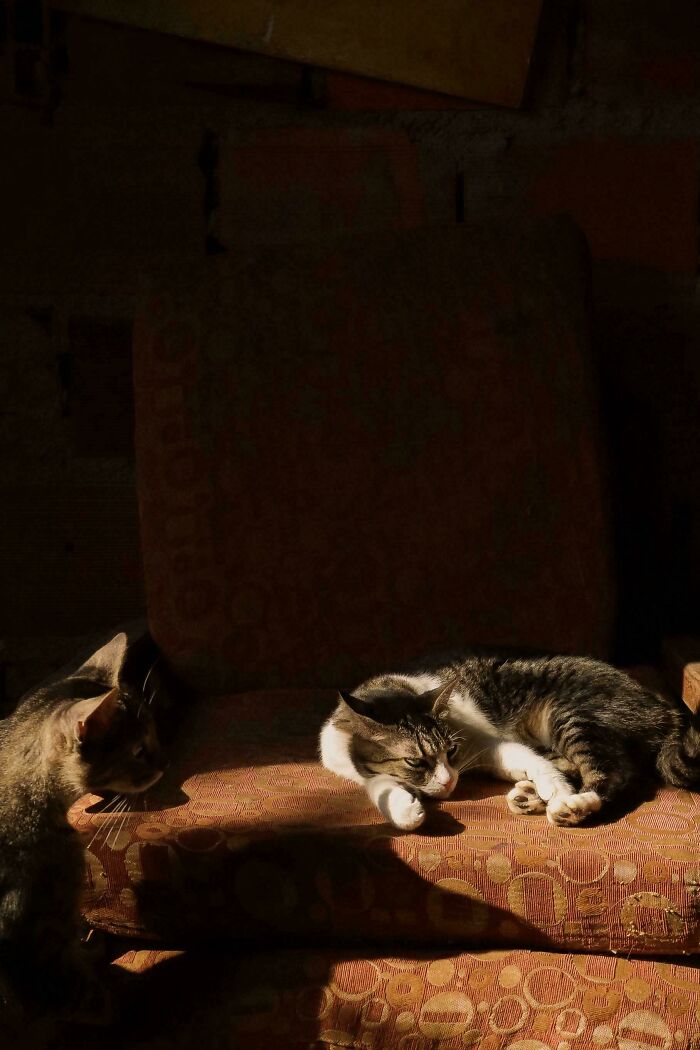 &ldquo;Accidental Renaissance&rdquo;: 102 Photos That Look Like They Should Belong In A Museum (New Pics)