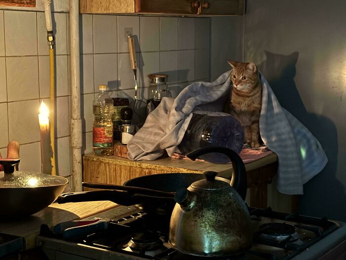 &ldquo;Accidental Renaissance&rdquo;: 102 Photos That Look Like They Should Belong In A Museum (New Pics)