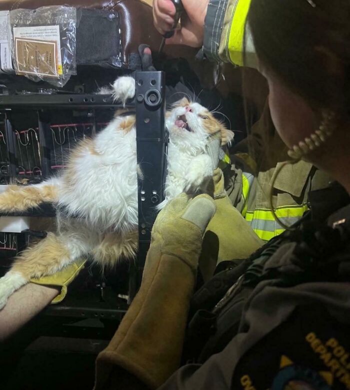 &ldquo;Accidental Renaissance&rdquo;: 102 Photos That Look Like They Should Belong In A Museum (New Pics)