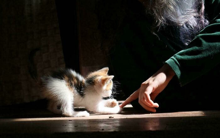 &ldquo;Accidental Renaissance&rdquo;: 102 Photos That Look Like They Should Belong In A Museum (New Pics)