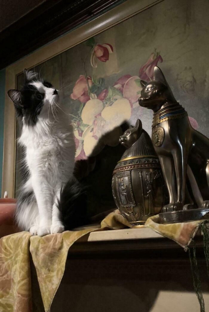 &ldquo;Accidental Renaissance&rdquo;: 102 Photos That Look Like They Should Belong In A Museum (New Pics)