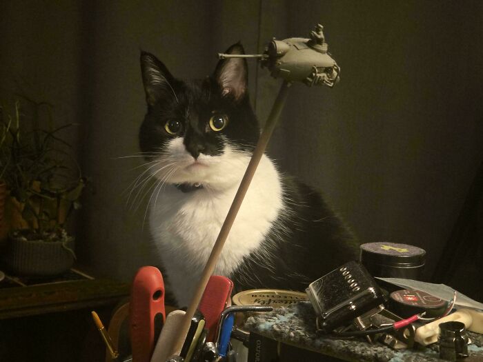 &ldquo;Accidental Renaissance&rdquo;: 102 Photos That Look Like They Should Belong In A Museum (New Pics)