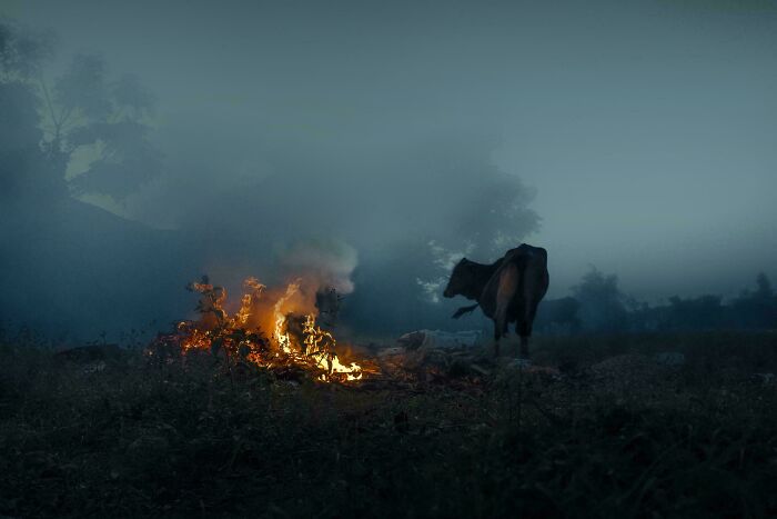 &ldquo;Accidental Renaissance&rdquo;: 102 Photos That Look Like They Should Belong In A Museum (New Pics)